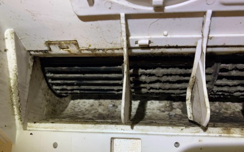Black mould growth on split system aircon coils — professional cleaning required